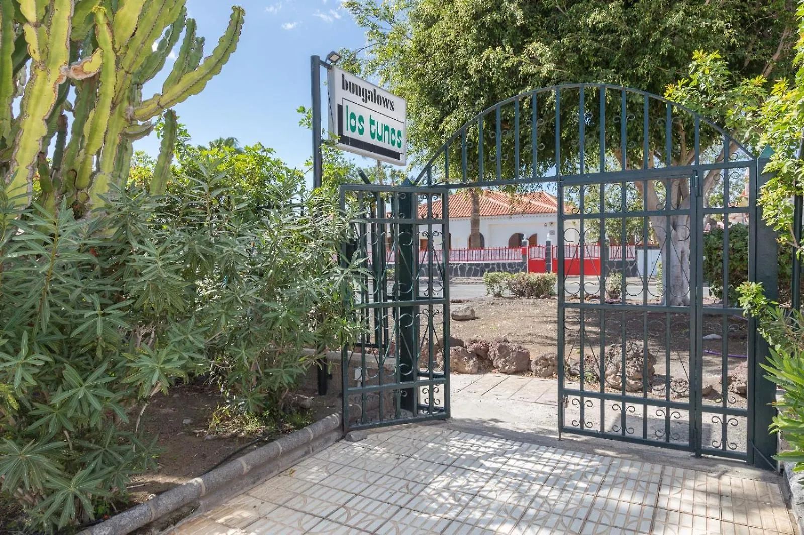 Lightbooking Los Tunos Maspalomas Gran Jardin Y Barbacoa. 0*, Maspalomas (Gran Canaria)